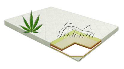 Picture of Ava Hemp