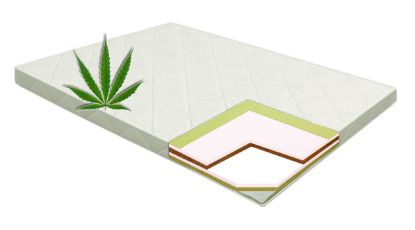 Bild von Hippo Hemp