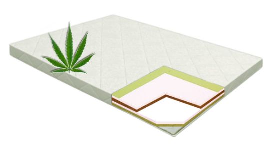 Picture of Hippo Hemp